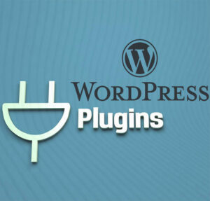 What-is-a-plugin-in-wordpress